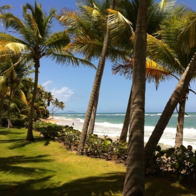 Beach Access + 3 Pools + Ocean Views - 2Br In Palmas - Sleeps 7 Apartment Humacao Exterior photo